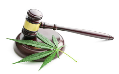 California Cannabis Laws 2020