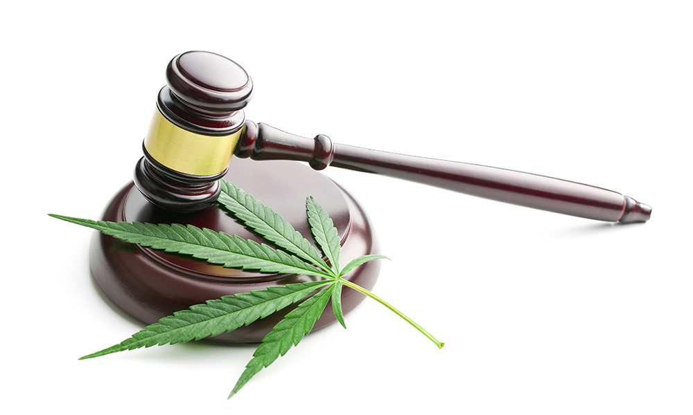 California Cannabis Laws 2020